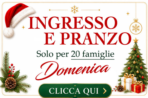 Ingresso al Tempio di Babbo Natale con pranzo con Babbo Natale